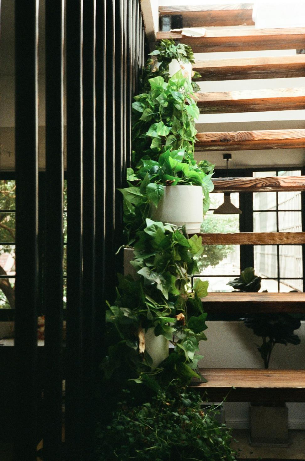 Restaurant Interior Design